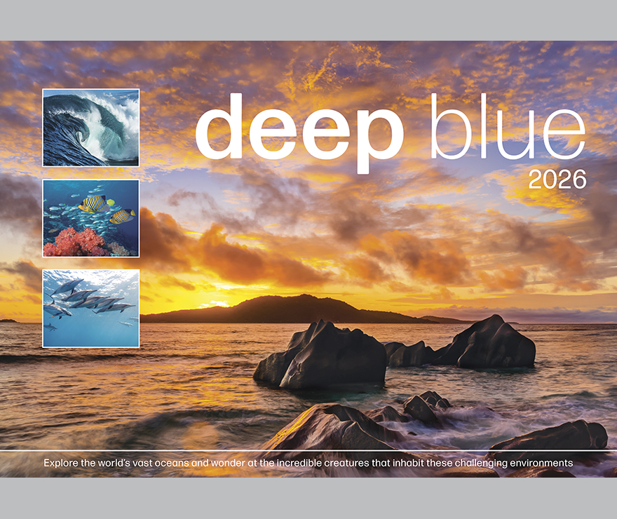 Calendar Deep Blue